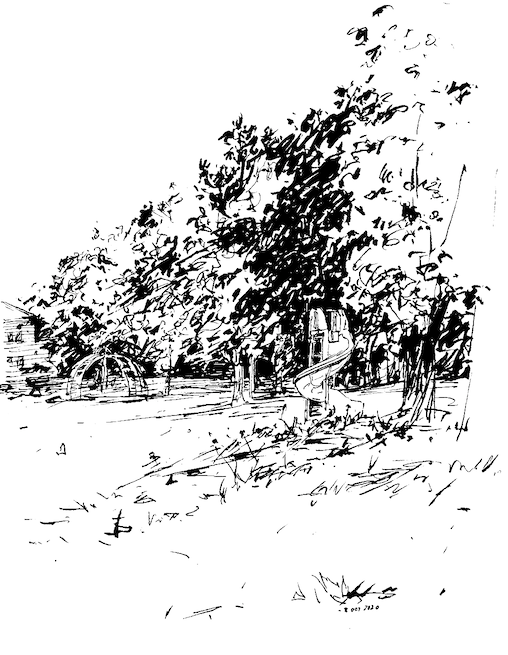 ink drawing of a park