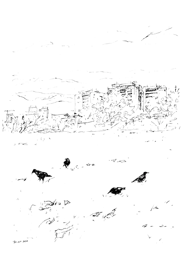 ink drawing of crows on a field under city sky